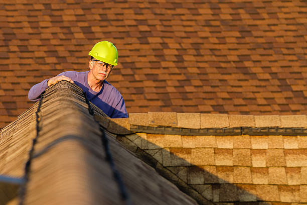 Best Roof Repair Services  in Long Beach, MD