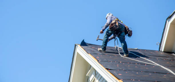 Best Roof Maintenance Services  in Long Beach, MD